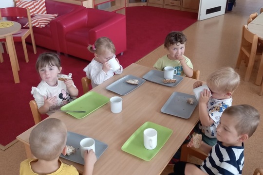 Lilek z naší zahrádky Lilek z naší zahrádky 1