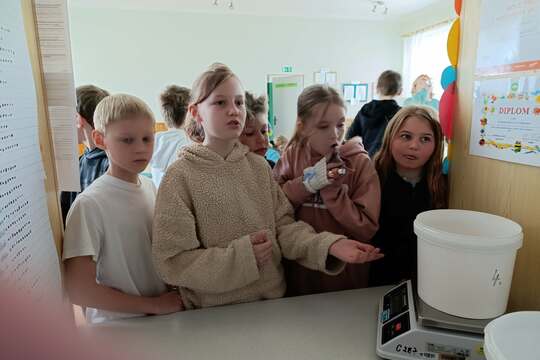 Audit 2 ,, Plýtvání potravinami,, 1