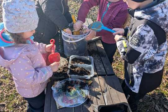 Sázení rostlinek 1