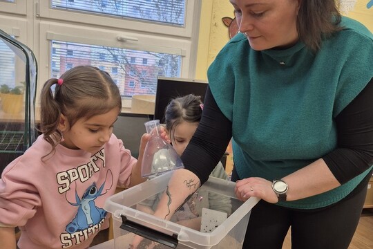 Noví šnečí kamarádi  1