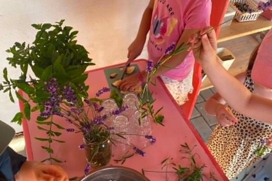 Společně na dálku: Domácí ovocná limonáda plná letních chutí 1