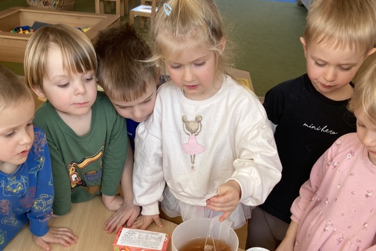 Vitamínový čaj - Berušky 1