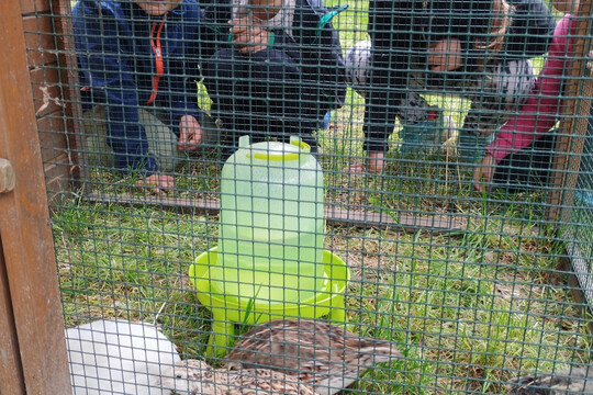 Děti, zvířata a příroda Děti, zvířata a příroda 1