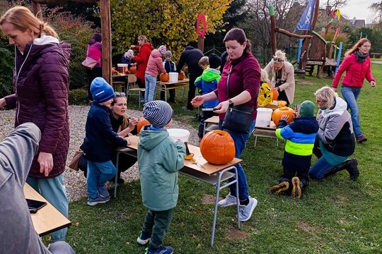 Dýňování na zahradě 1