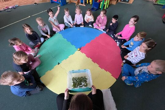 Naše housenky - budeme mít motýlky 1
