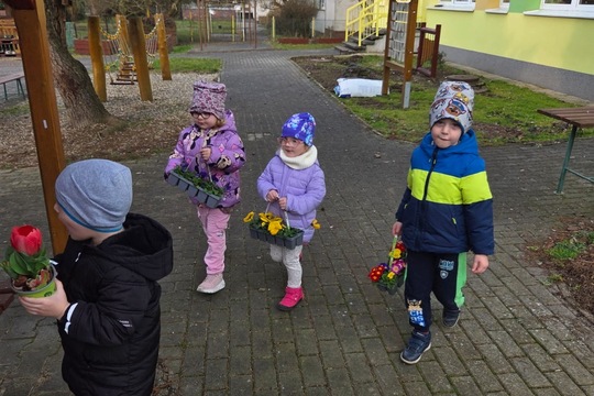Berušky MŠ Kollárova - sázení kytiček 1