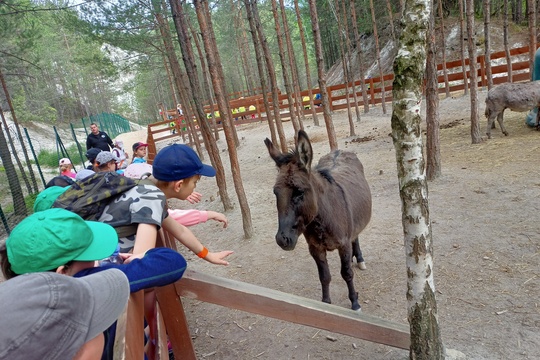 Náš výlet do Farmaparku u Toma 1