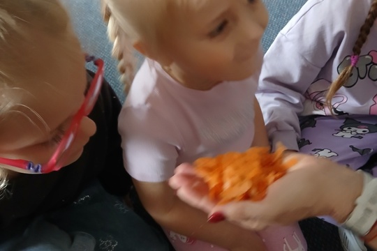 Koloběh živin aneb krmíme žížaly Koloběh živin aneb krmíme žížaly 1