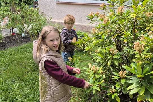 Cesta k jedlé zahradě. Cesta k jedlé zahradě. 1