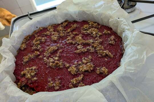 Vločkový koláč našich osmáků  1