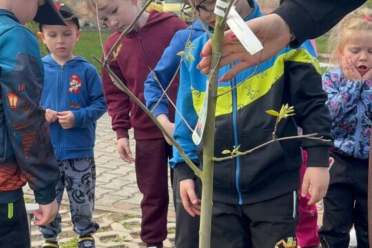 Nový přírůstek  1