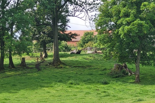 Výlet na Ekofarmu - Kytičky 1