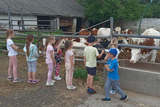 Výlet - Rodinná farma Suchý Slavětín  1