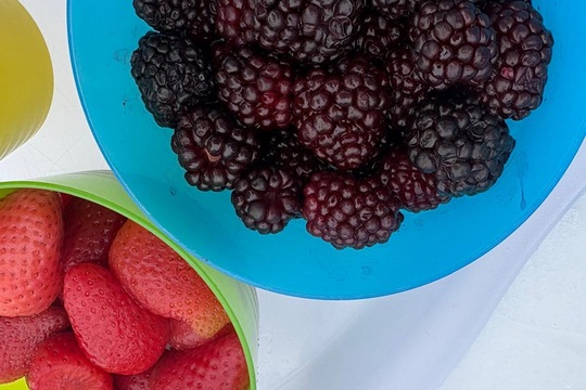 Sníh+ mráz + my = zmrzlina  1