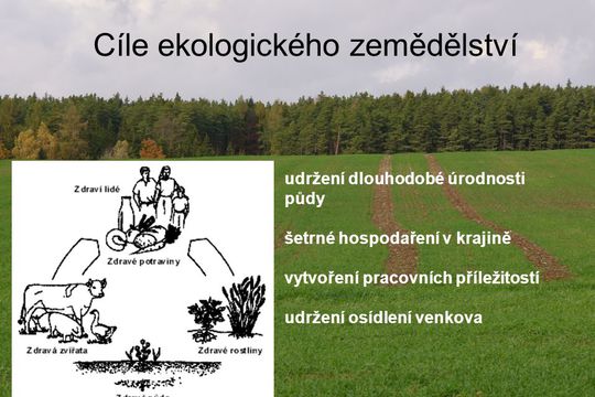 Co je ekologické zemědělství? 1