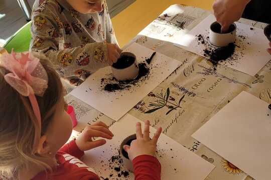 Sázíme, sázíme sazeničky  1