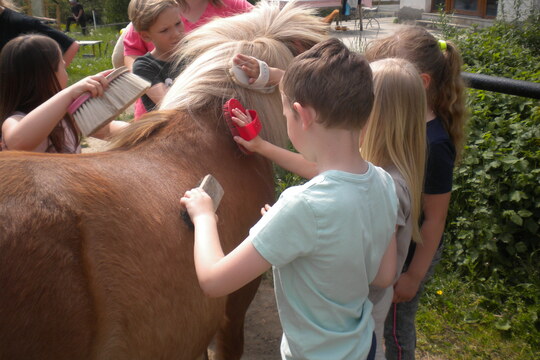 Návštěva farmy "Appaloosa". 1