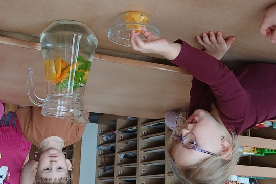 Domácí limonáda Domácí limonáda 1