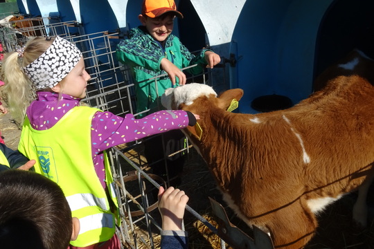 Navštívili jsme místní Ekofarmu Javorník 1