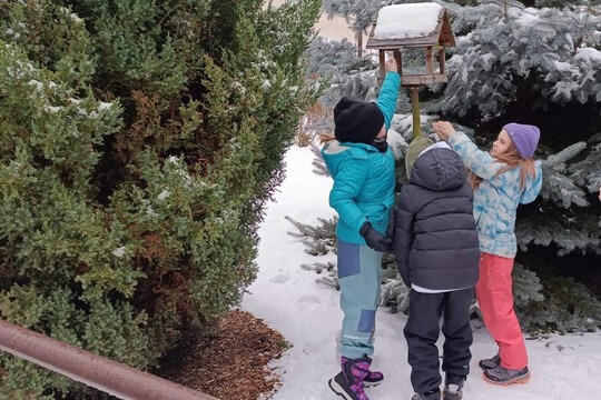 Děti z družiny pomáhají zimní přírodě 1