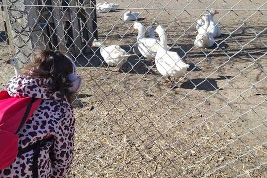 Výlet na Zlatou farmu  1