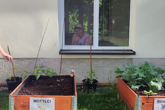 Salát na talíři 1