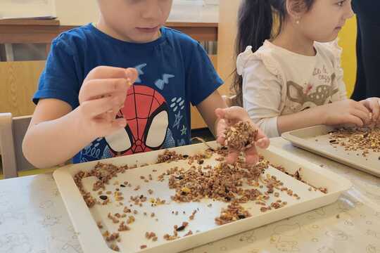 Výroba lojových koulí pro ptáčky 1