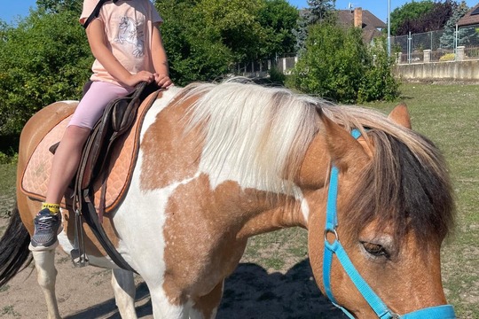 Koně a Smíškové  1