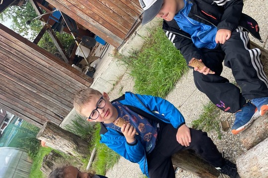 Dnešní výlet na farmu 1