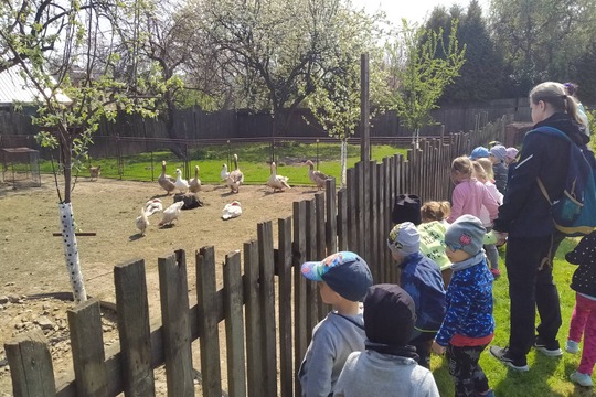 Jak se žije na kozí farmě 1