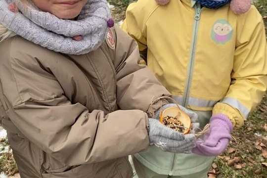 Džus a krmítka z čerstvých pomerančů 1