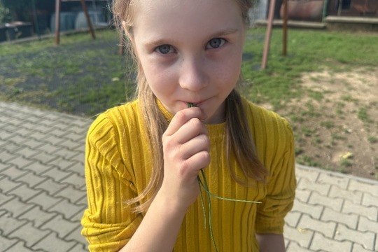 Ochutnávka zeleniny a bylinek z naší zahrádky 1