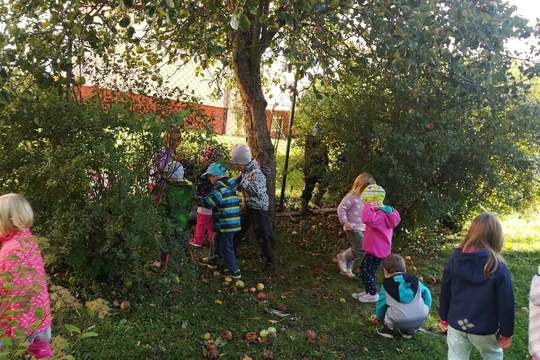 MOŠTOVÁNÍ NA ŠKOLNÍ ZAHRADĚ MŠ MÁNESOVA  KROMĚŘÍŽ   1