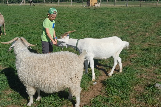 Návštěva na komunitní farmě 1