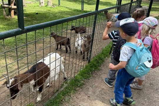 VÝLET DO MINI ZOO ČASTOLOVICE VÝLET DO MINI ZOO ČASTOLOVICE 1