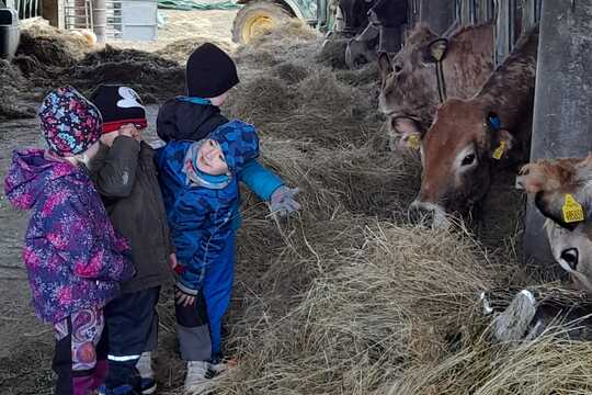 Za telátky, kůzlaty a pilnými včelkami Za telátky, kůzlaty a pilnými včelkami 1
