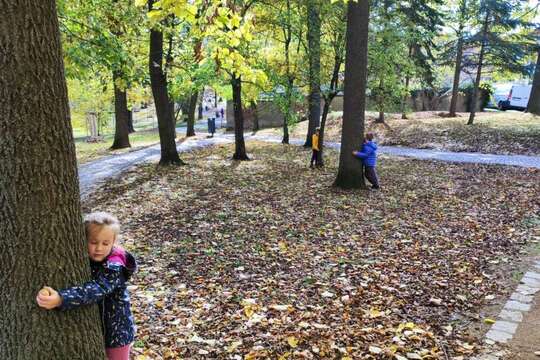Náš školkový den stromů Náš školkový den stromů 1