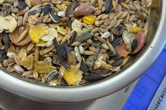 Naše zvířata - naše starost  1