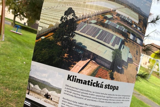 Rovnost a práce  1