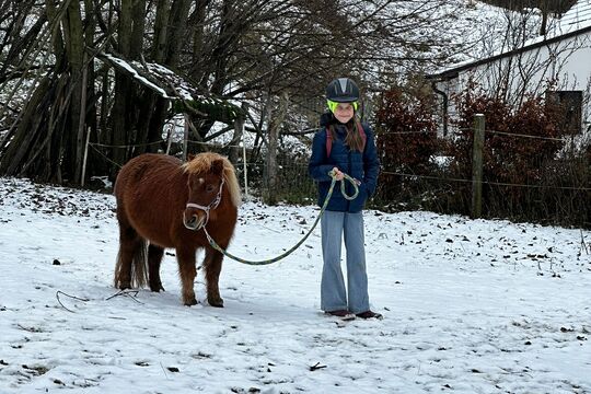 Návštěva poníků v Lísce Návštěva poníků v Lísce 1