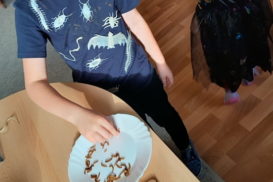 Dýňování u Motýlků 1