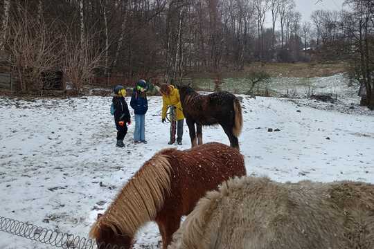 Návštěva poníků v Lísce Návštěva poníků v Lísce 1