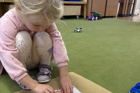 Brambory - Berušky 1