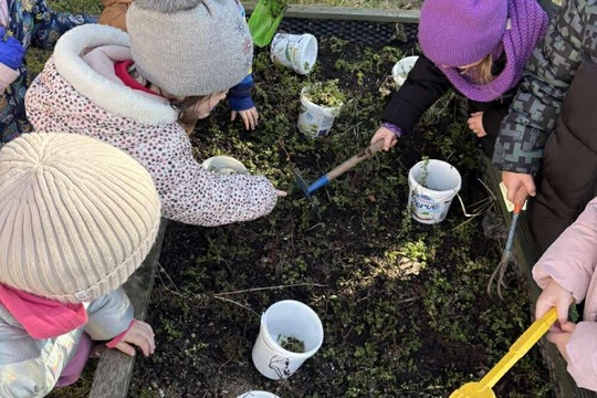 Jarní probouzení zahrádky 1