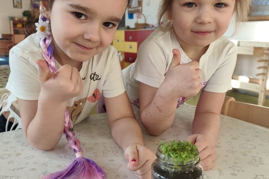 Pěstování řeřichy 1