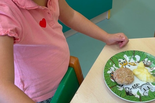 Možnost volby a rybí karbanátky  1