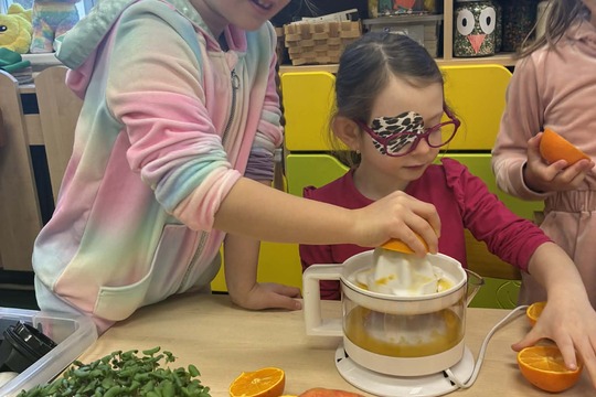 Vitamínové experimentování 1