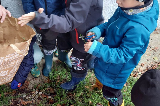 Zazimování školní zahrady 1