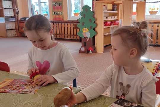 Domácí hranolky 1