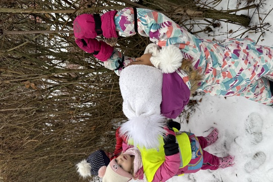 ZÁVĚSNÁ KRMÍTKA PRO PTÁČKY ZÁVĚSNÁ KRMÍTKA PRO PTÁČKY 1